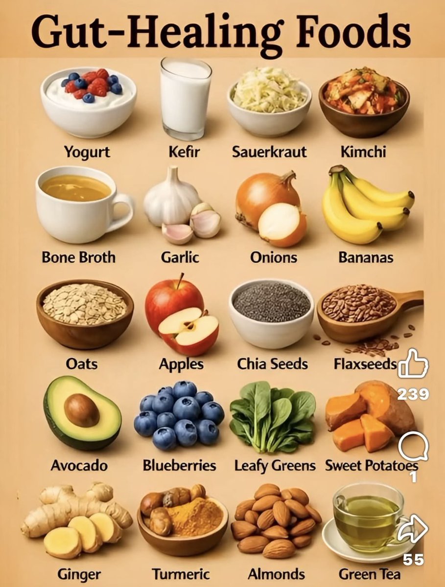 saraevans_Ai's tweet photo. Gut - Healing Foods. Follow @saraevans_Ai for more⚡ https://t.co/qLYDI3TUi3