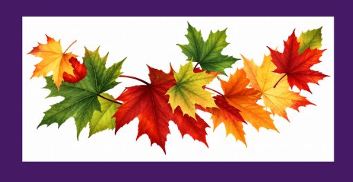 popethcymraeg's tweet photo. Geirfa’r Hydref:
2. Dail = leaves
(deilen = one leaf)
#YrHydref #WelshAutumnWords https://t.co/9WjHYc5GQ1