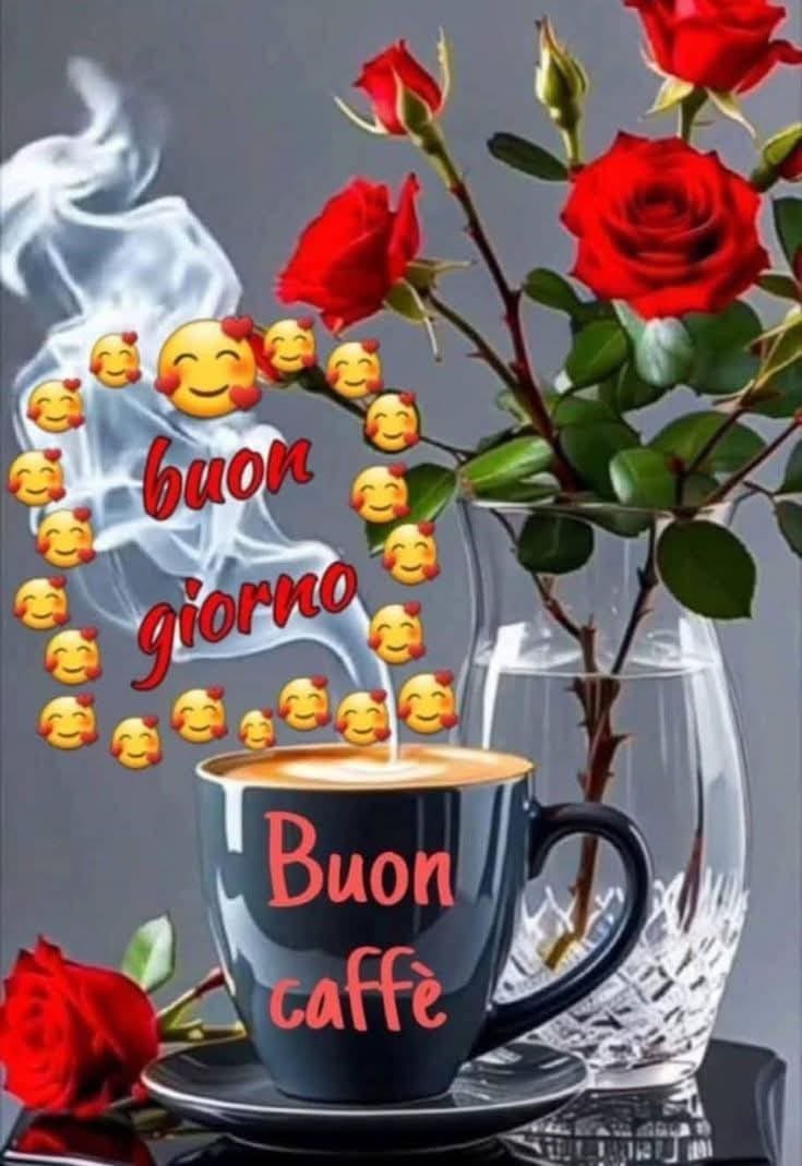 succar_toni's tweet photo. @Al78Me https://t.co/JC6QiQFjMT