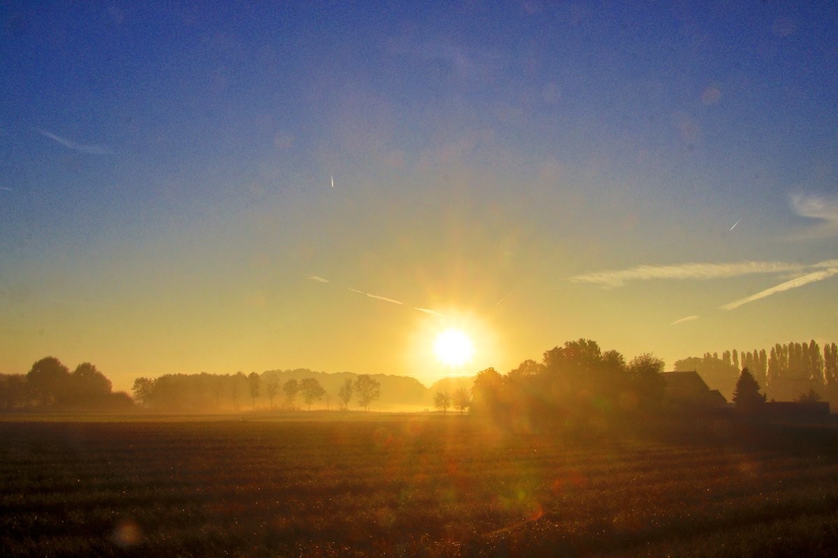 luclambert11's tweet photo. #vrtweer Luc Lambert 8u30 Ardooie zon  wind WNW 21° https://t.co/FmBL00xEge