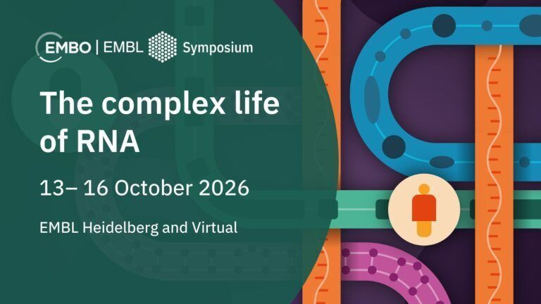 FEBSJournal's tweet photo. 🧬  We look forward to attending the EMBO-EMBL Symposium ‘The complex life of RNA’ in Heidelberg next week.

 💬 Please come and meet The FEBS Journal Editor, Yeliz Yılmaz. We'd be delighted to connect and discuss great science with you!

#EESRNA #FEBSPress #EMBLEvents https://t.co/xuTEf9En9k