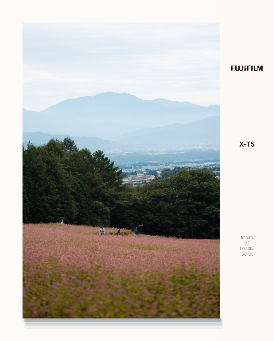 snadraM1's tweet photo. 蕎麦畑
Shot on Fujifilm X-T5
#Exigram https://t.co/c7kADsmWRd