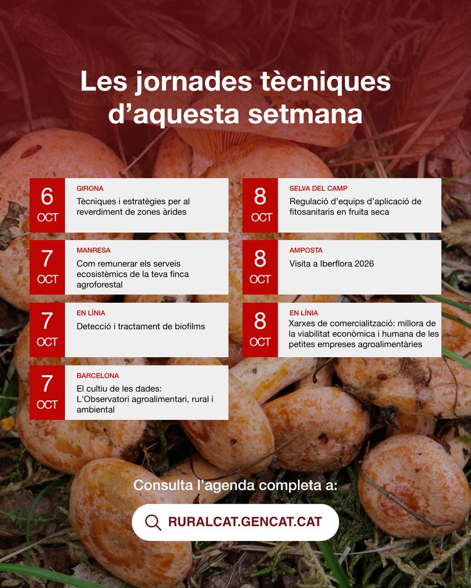 ruralcat's tweet photo. 📅Agenda 𝗣𝗔𝗧𝗧 >> Consulta les jornades tècniques presencials i en línia que tindran lloc aquesta setmana #PATT2026 
Consulta l'agenda➡️ https://t.co/kwqMPmDuxa https://t.co/E10AX1IUn8