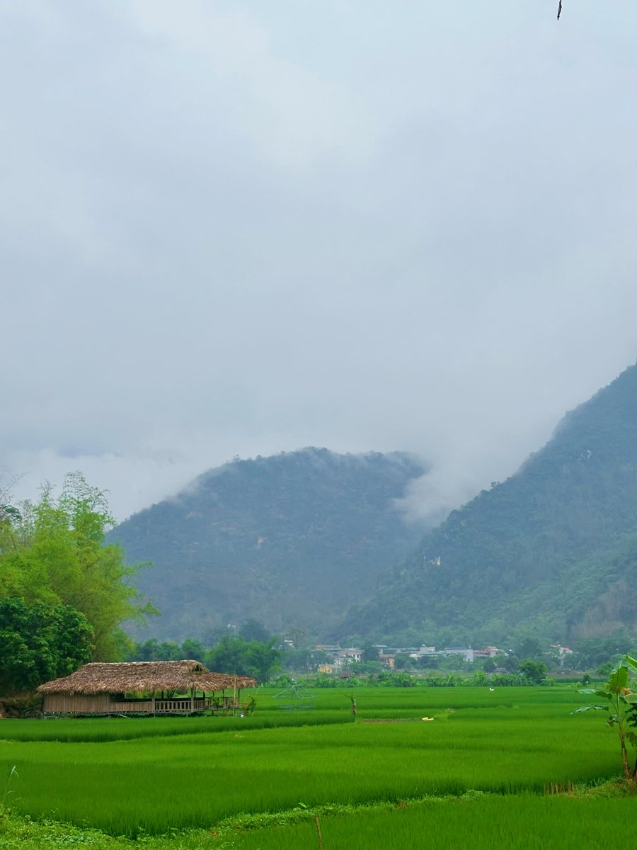 Blueeback's tweet photo. Mai Chau offers quiet magic: peaceful homestays, gentle waterfalls and hot springs. A place to slow down, breathe deeply and escape Hanoi’s relentless rush—so you can rest, recharge and feel whole again. https://t.co/oZswlNoNCN