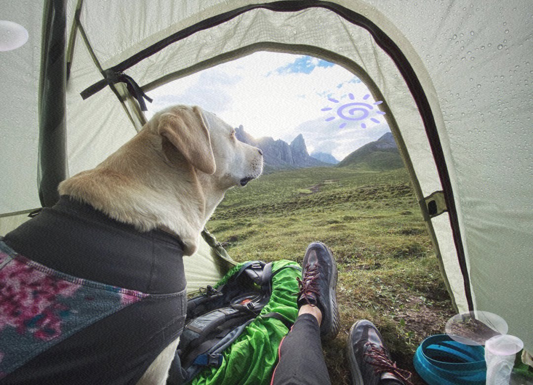 Walsheub46's tweet photo. En la ruta hacia la cima, la tortura por la cuesta se mitiga con un perro domesticado que camina junto a nosotros; nuestro equipaje está bien colocado. https://t.co/YM6cVr0xwU