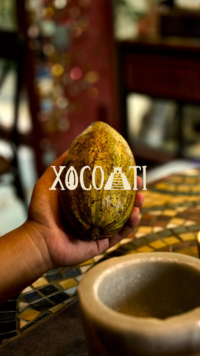 xicapoki's tweet photo. XOCOATI mở cửa xuyên Lễ Quốc Khánh 31/08–02/09/2026. Riêng 02/09, quán phục vụ 13:00–22:30; Workshop Cacao diễn ra 13:00–15:00. Hẹn bạn thưởng thức cacao và sẻ chia những cuộc trò chuyện ấm áp. https://t.co/P7Pl2x1o2p