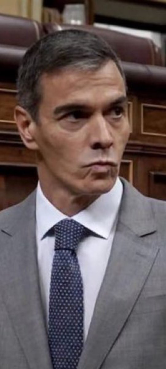 plario214541's tweet photo. Españoles , " Sánchez  ha  caído"  . https://t.co/xXSQtlvOZq