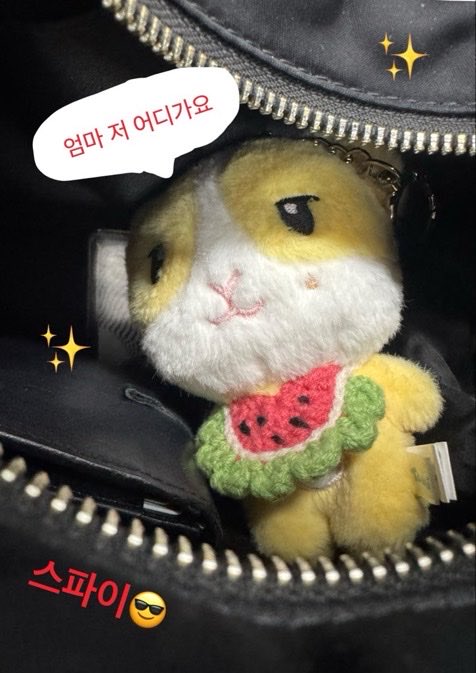 Nyamade_'s tweet photo. 기츄니 외출시키기 1탄 ˚₊· ໒꒱ https://t.co/uXIWfVGlnh