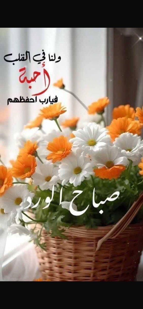 succar_toni's tweet photo. @HRHMBNSALMAAN https://t.co/1CF9gCRp0j