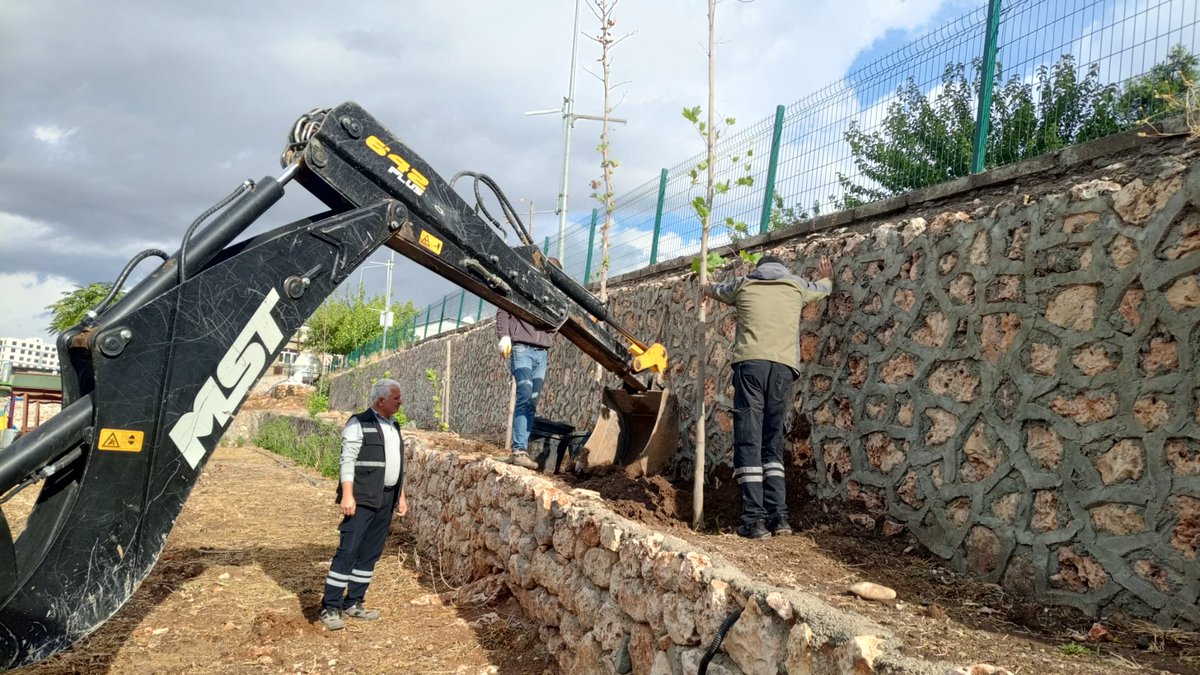 kocakoybel's tweet photo. Wekî Midûriyeta Karûbarên Teknîkî ya Şaredariya Karaze, em hewldanên xwe yên çandina daran didomînin da ku parkên xwe kesk bikin û hewayeke teze bidin bajarê xwe. https://t.co/oK7zV8J9no