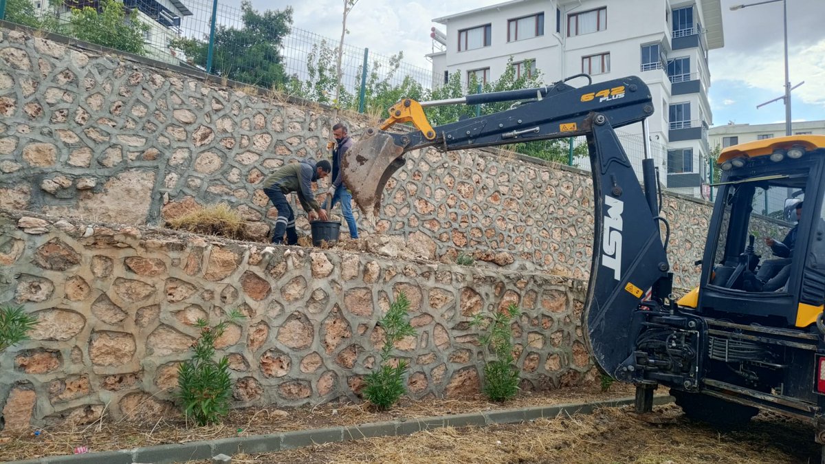 kocakoybel's tweet photo. Wekî Midûriyeta Karûbarên Teknîkî ya Şaredariya Karaze, em hewldanên xwe yên çandina daran didomînin da ku parkên xwe kesk bikin û hewayeke teze bidin bajarê xwe. https://t.co/oK7zV8J9no