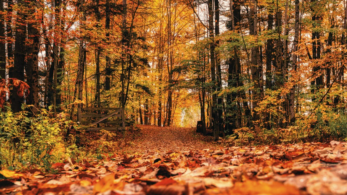 LaProvenceAlpes's tweet photo. Livres, douceurs, produits du terroir… L'automne lancé autour d'une soirée à Céreste-en-Luberon
👉 https://t.co/QEGw4Sqocx https://t.co/pNW5DD5Fca