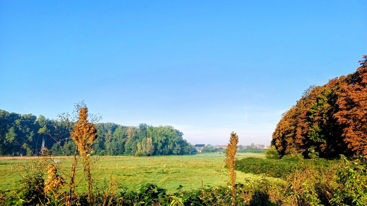 RonnyPopelier's tweet photo. #vrtweer Ronny Popelier Wielsbeke 9h12 https://t.co/ehQuCrHFCc