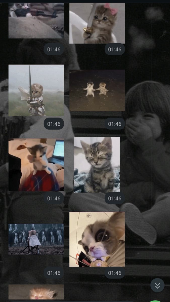 bitkiselgurme tweet picture