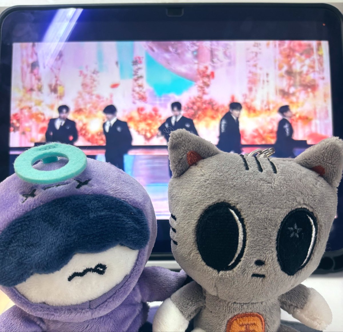 txt_214's tweet photo. 本日も🦊🐰🧸🐿🐧 https://t.co/JzvaRNj9wd