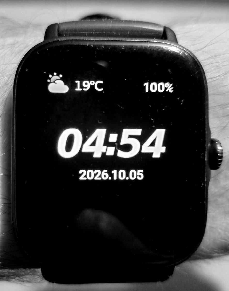 MichaGWS's tweet photo. Monday. 
Focus on consistency, not perfection. 
Workout time. https://t.co/SXAQATH49R