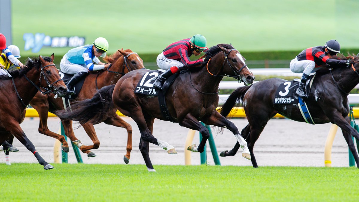 k3i0nc12's tweet photo. 2026/10/3 東京競馬場 白秋ステークス

#フォーゲル
#斉藤崇史 厩舎
#池添謙一 騎手 https://t.co/Q5NLUp57se