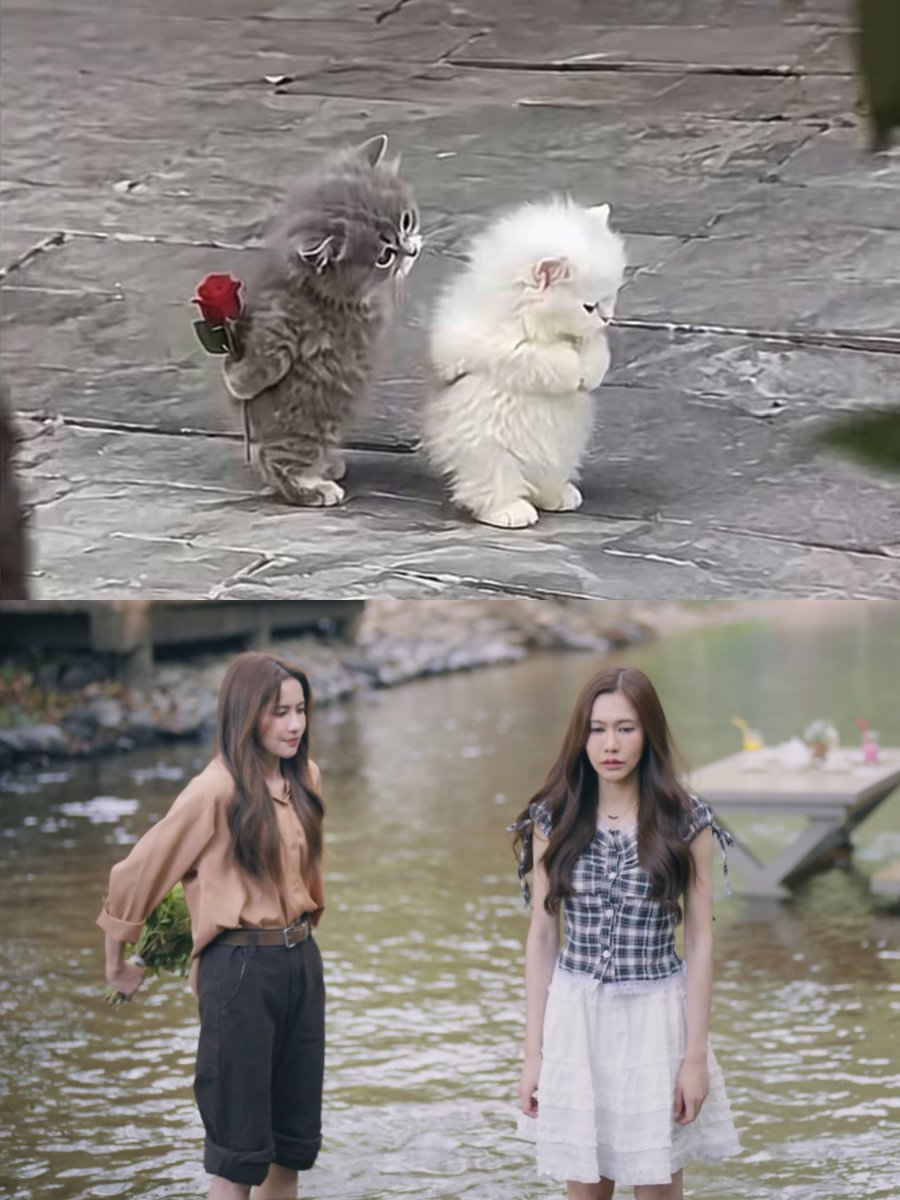 KA_NNN1109's tweet photo. ไฟเพรานี่นา😾 https://t.co/XblJvvILjm