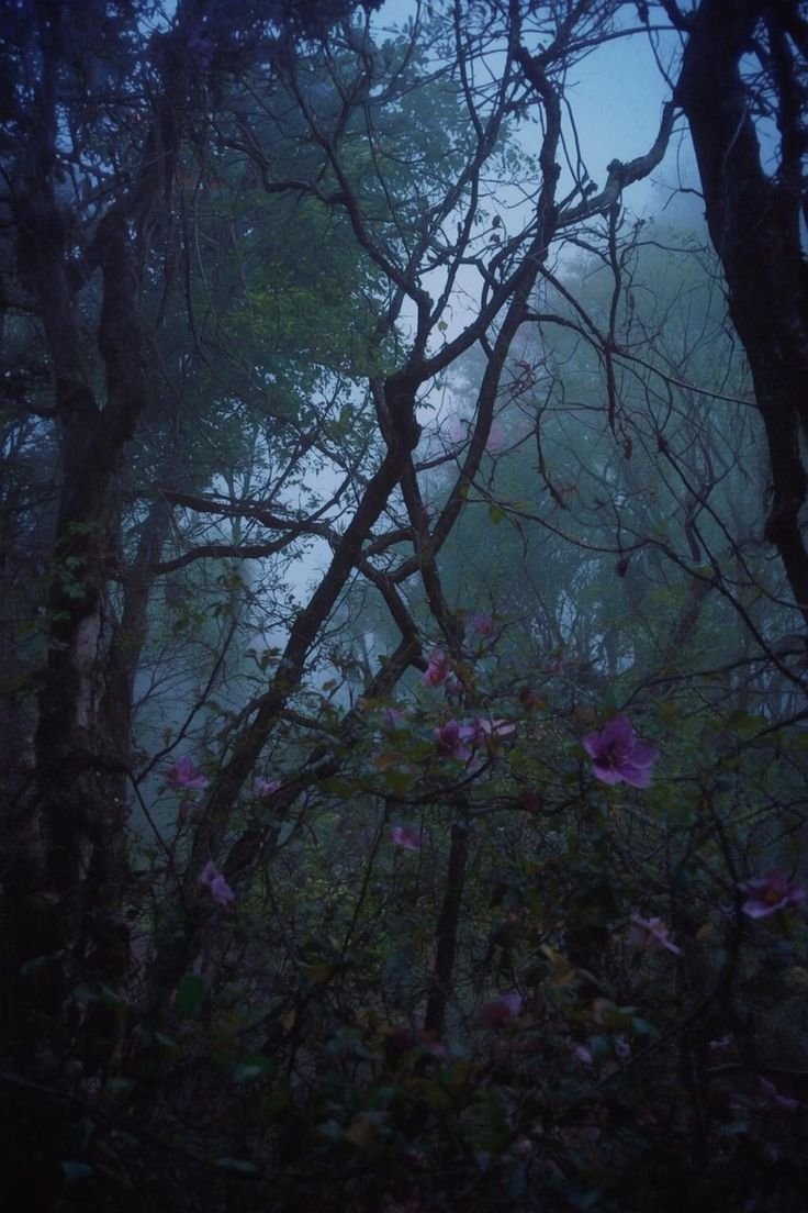 elemmiressoul's tweet photo. like in a dream. https://t.co/qBCIjj09js