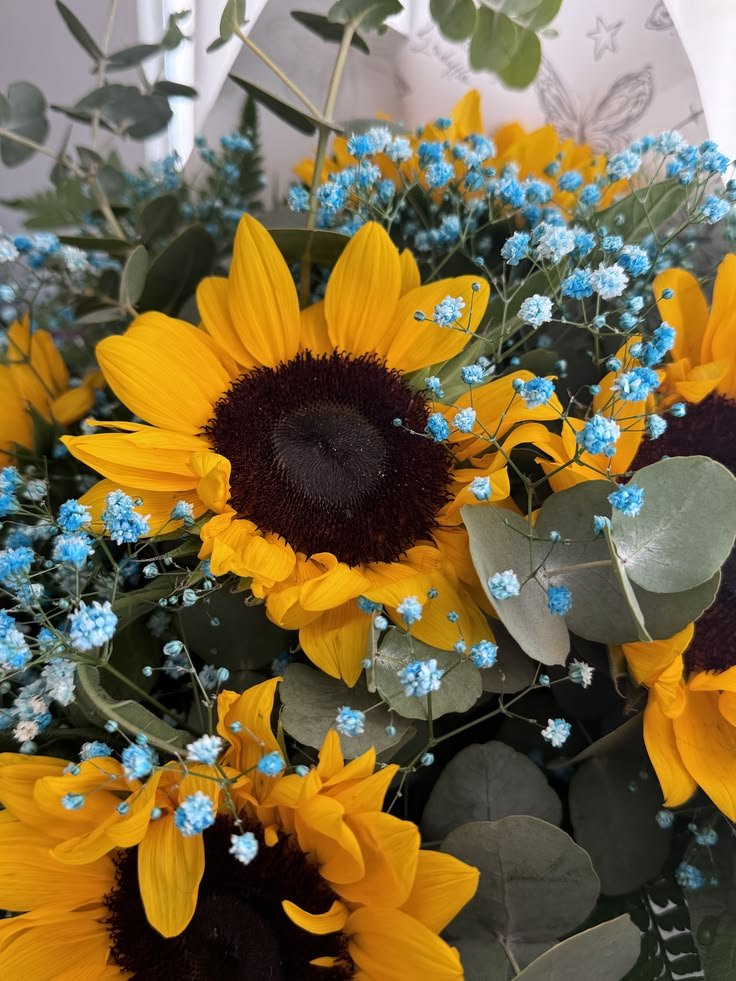 hanzalaethic's tweet photo. Sunflower https://t.co/s4Mrx53OoE