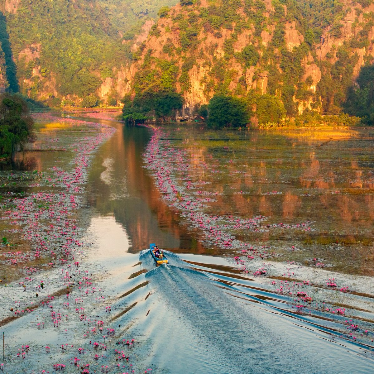 EliasSebastio's tweet photo. Ninh Binh, Vietnam, where nature becomes a masterpiece. Explore Trang An’s winding rivers, limestone peaks, hidden caves, and peaceful landscapes shaped over countless years. https://t.co/tDNVDzYNIB