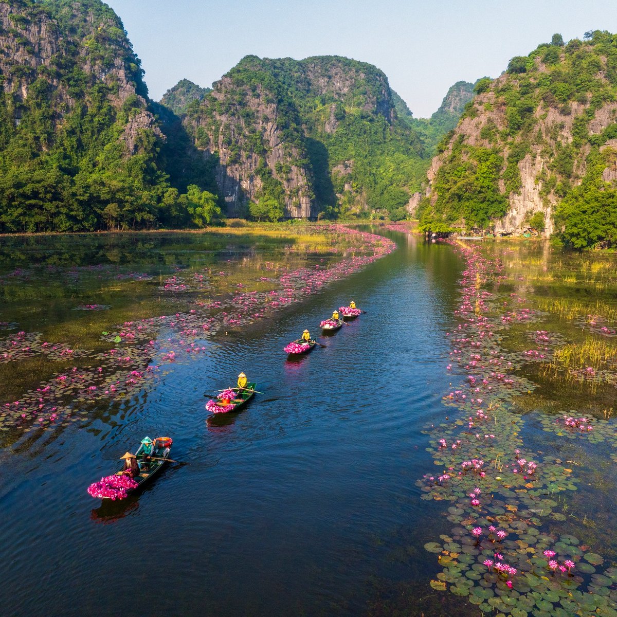 EliasSebastio's tweet photo. Ninh Binh, Vietnam, where nature becomes a masterpiece. Explore Trang An’s winding rivers, limestone peaks, hidden caves, and peaceful landscapes shaped over countless years. https://t.co/tDNVDzYNIB