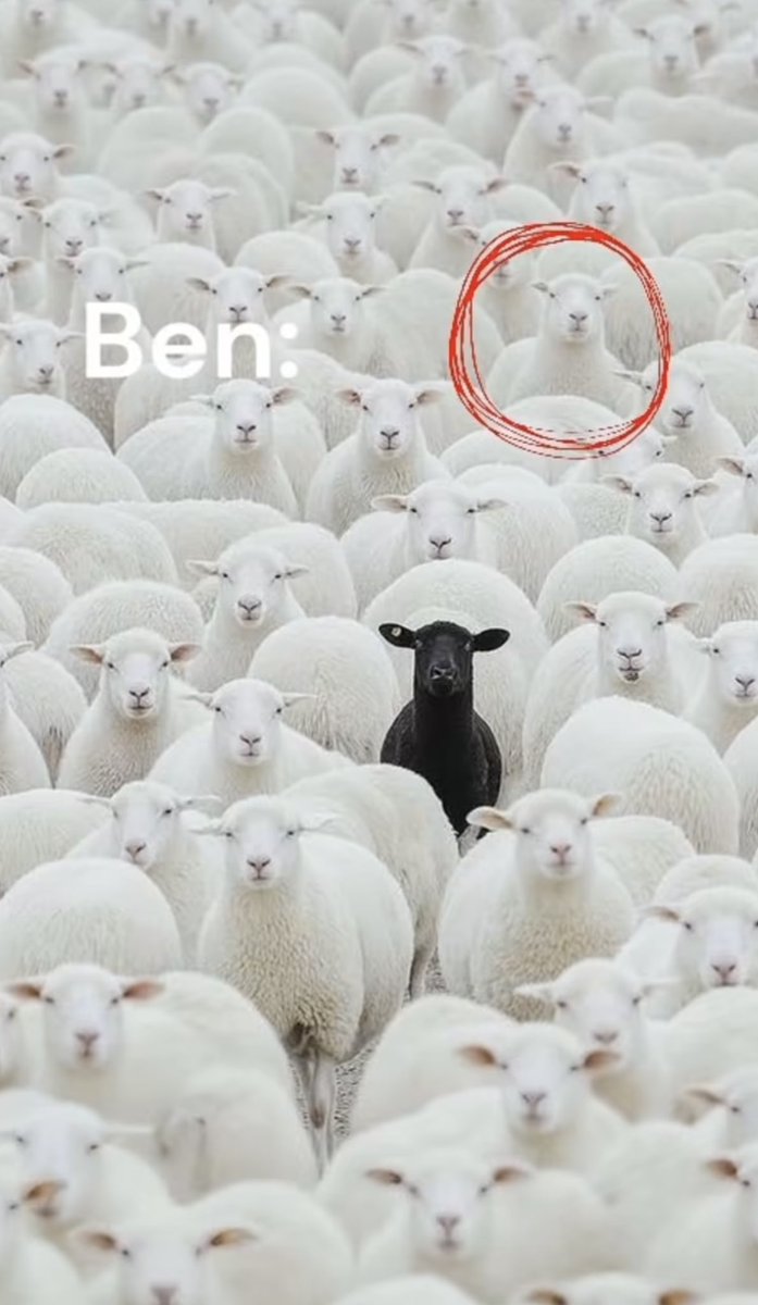 hahaahahdsa's tweet photo. Herkesin para futbol cinsellik konuştuğu yerde biz https://t.co/M6fDIcE2EA