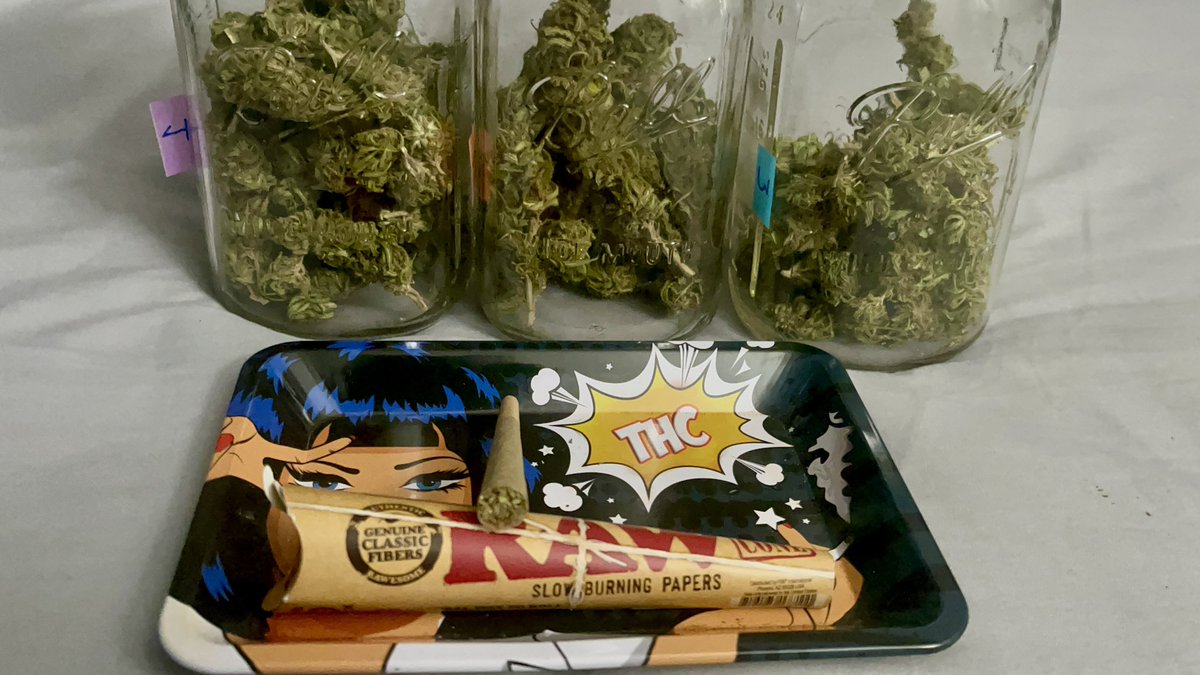 Itsphebeats's tweet photo. Time for a lilโ #nightcap ๐ฎโ๐จ๐จ
#itsPhe ๐ฅ #cannabis #cannabiscommunity #GrowYourOwn ๐จ๐พโ๐พ๐ชด https://t.co/K9nSXCHBGI