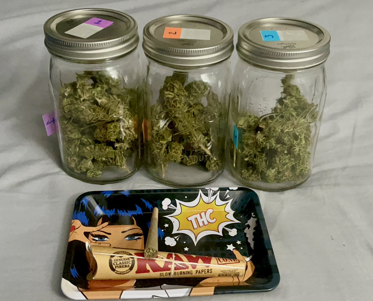 Itsphebeats's tweet photo. Time for a lilโ #nightcap ๐ฎโ๐จ๐จ
#itsPhe ๐ฅ #cannabis #cannabiscommunity #GrowYourOwn ๐จ๐พโ๐พ๐ชด https://t.co/K9nSXCHBGI