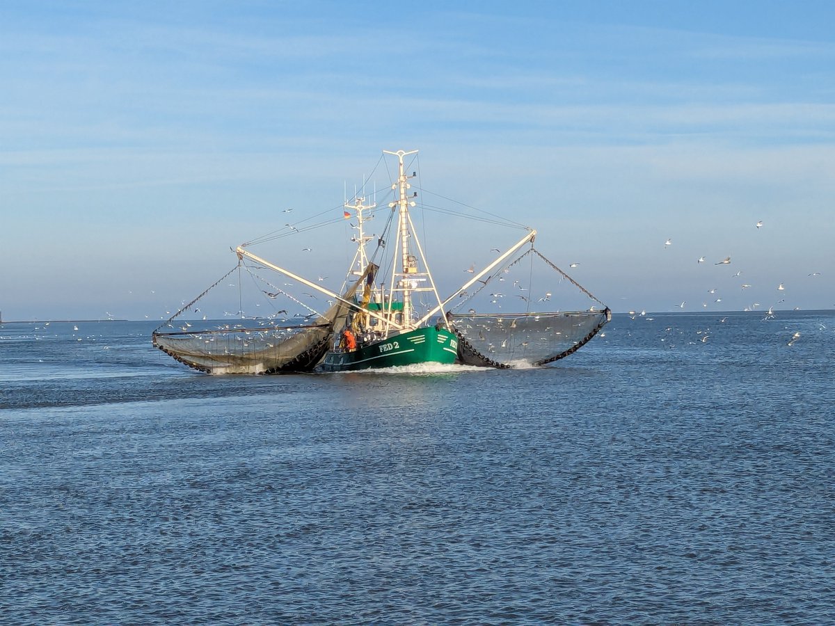 Nordwestroute's tweet photo. Moin aus Butjadingen.. #Fedderwardersiel #butjadingen #nordsee #wesermarsch #Burhave #tossens #eckwarderhörne #Ruhwarden https://t.co/KOvRf6EwwR
