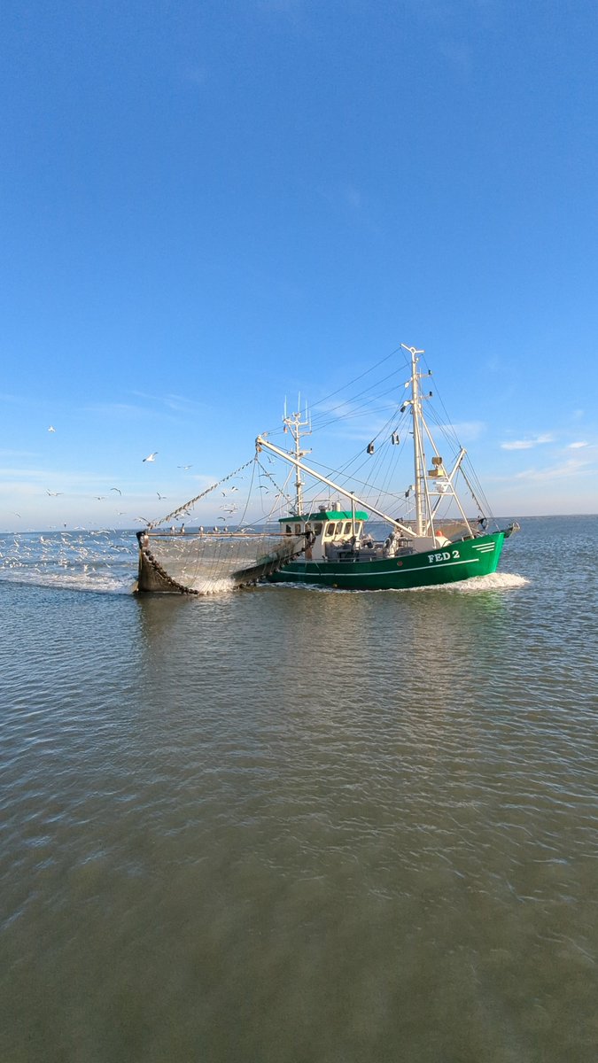 Nordwestroute's tweet photo. Moin aus Butjadingen.. #Fedderwardersiel #butjadingen #nordsee #wesermarsch #Burhave #tossens #eckwarderhörne #Ruhwarden https://t.co/KOvRf6EwwR