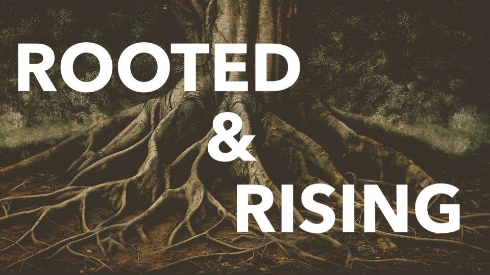 rechpauline's tweet photo. 🌱 ROOTED & RISING
Before you rise, make sure you’re rooted.
Rooted in faith. Rooted in purpose. Rooted in truth.
Are you rooted? Get rooted. Then RISE. 🌳⬆️
#RootedAndRising #GetRooted #StayRooted #RootedInPurpose #KeepRising https://t.co/TuObS45528