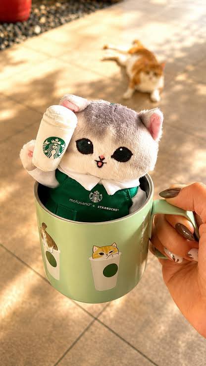 Manifestedwin's tweet photo. 160 ₱ to one 

Coffee time? 🤍

RT to enter https://t.co/VmipVJxhqK