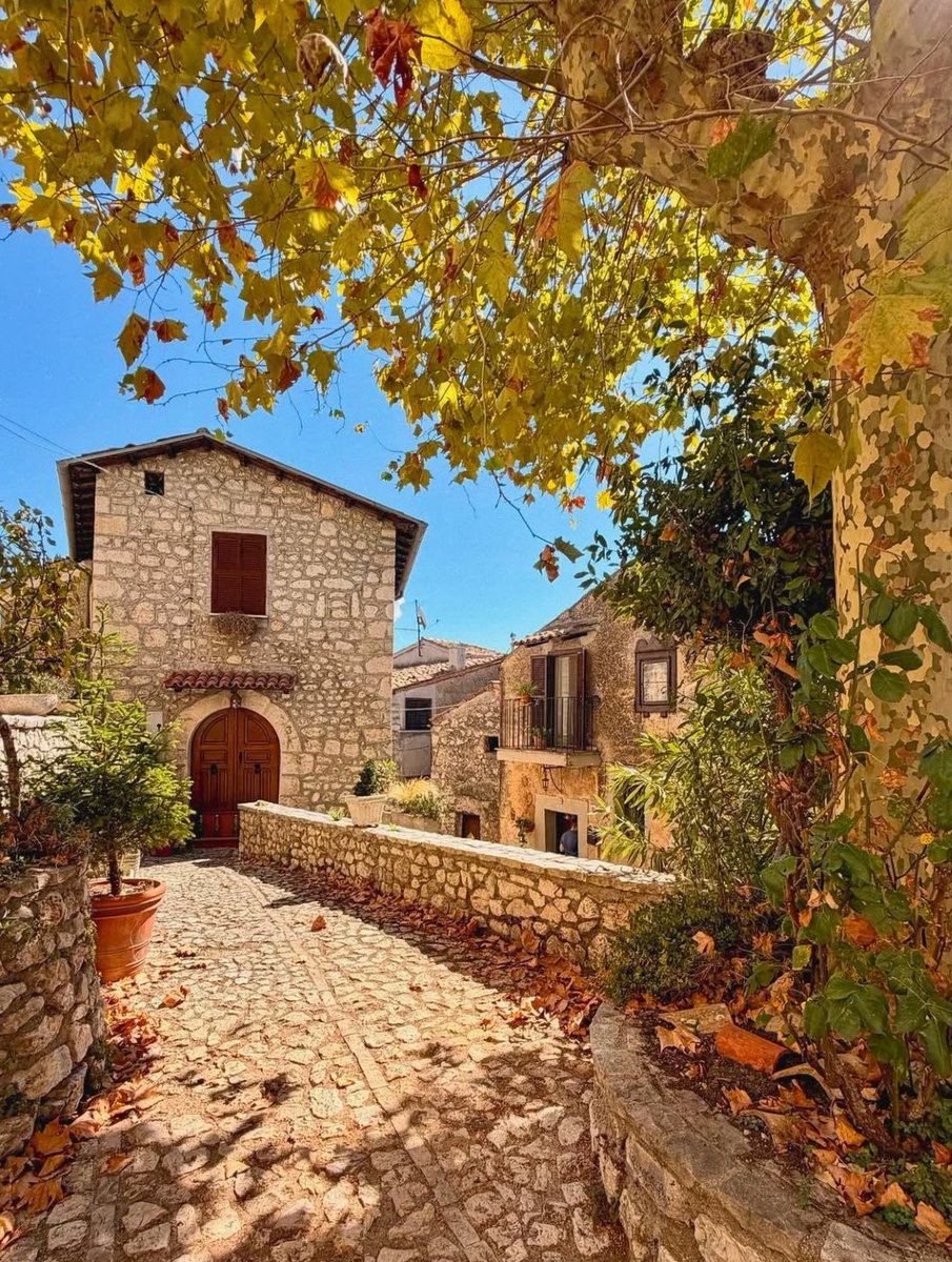 visit_lazio's tweet photo. L'autunno è arrivato e con lui le foglie iniziano a cambiare colore creando qualcosa di unico 🙂
Bisogna ancora attendere un pò per la vera esplosione di colori 🍂
Ma se vuoi un piccolo assaggio puoi fare una passeggiata a #Fumone. 

📸 Anna Santomarco 

#VisitLazio https://t.co/musV3dgsKG