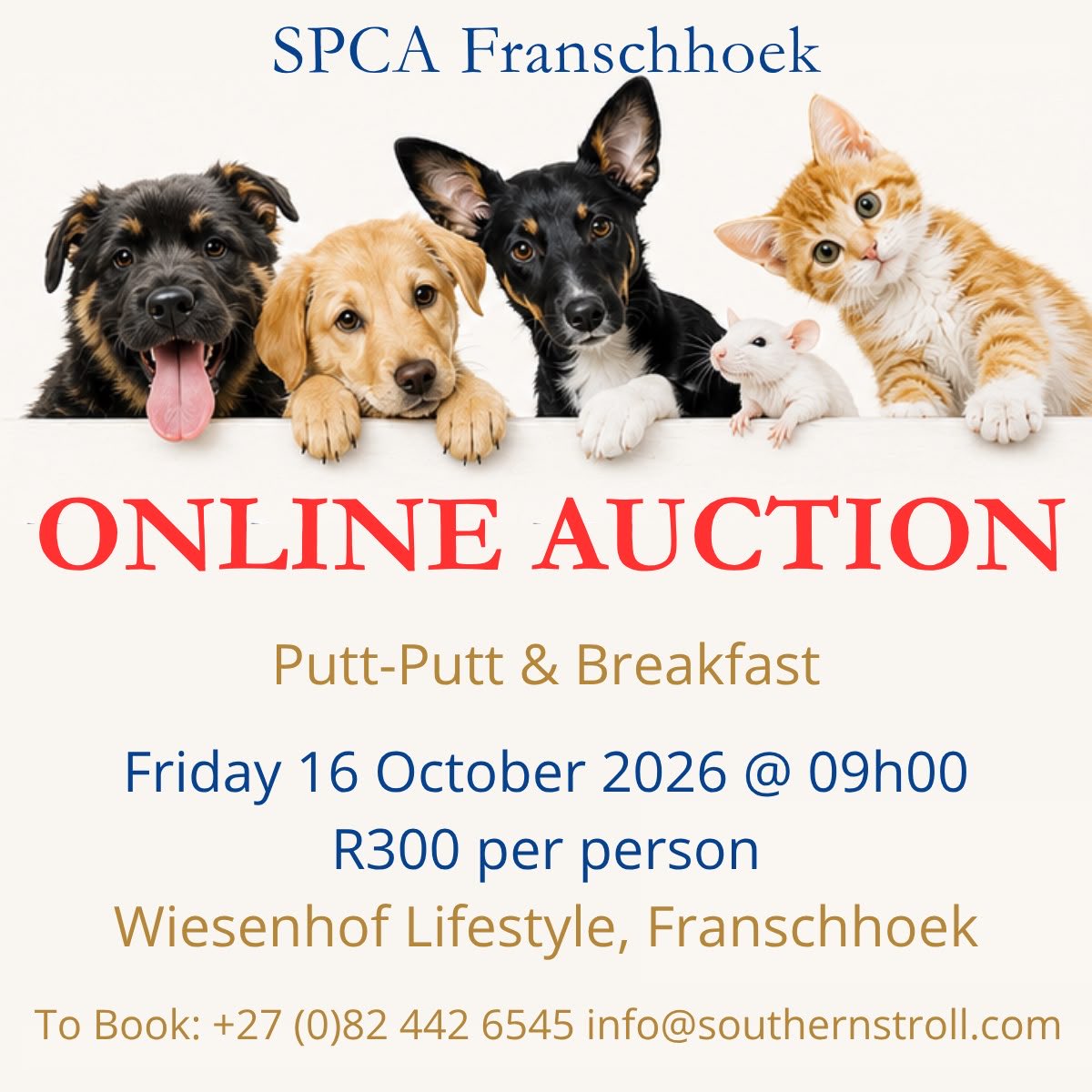 4KobusWiese's tweet photo. https://t.co/R32PXOKzlN