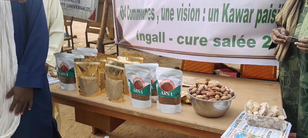 NigerGo26's tweet photo. Pendant plusieurs jours, Ingall accueille :

🐪 courses de chameaux
🎶 chants et danses
💃 Guéréwol et tendé
🐎 fantasia
🧵 artisanat
🌾 produits agro-pastoraux
🤝 échanges commerciaux et rencontres entre communautés https://t.co/0utMGVD2sZ
