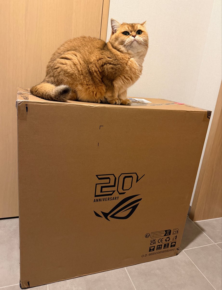 hc0519's tweet photo. ROGγγ£γγ #ROG20th https://t.co/V1qs7lWxwz