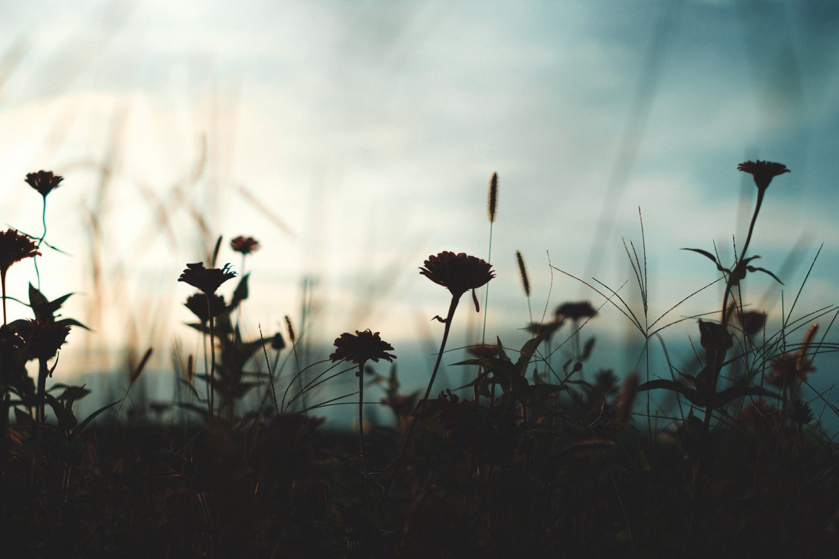mochi_nostalgia's tweet photo. A memory. https://t.co/lWWEwGL8ao