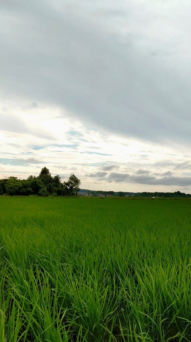 ontherocksin's tweet photo. YJげーみんぐ。
なかなか値段が張るのでずっとサブスク入ろうか迷ってたけどついに入りました🫡 https://t.co/R7od6f4hDW