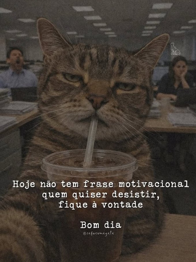 sobreteucaos's tweet photo. https://t.co/jY8lWsbVkM