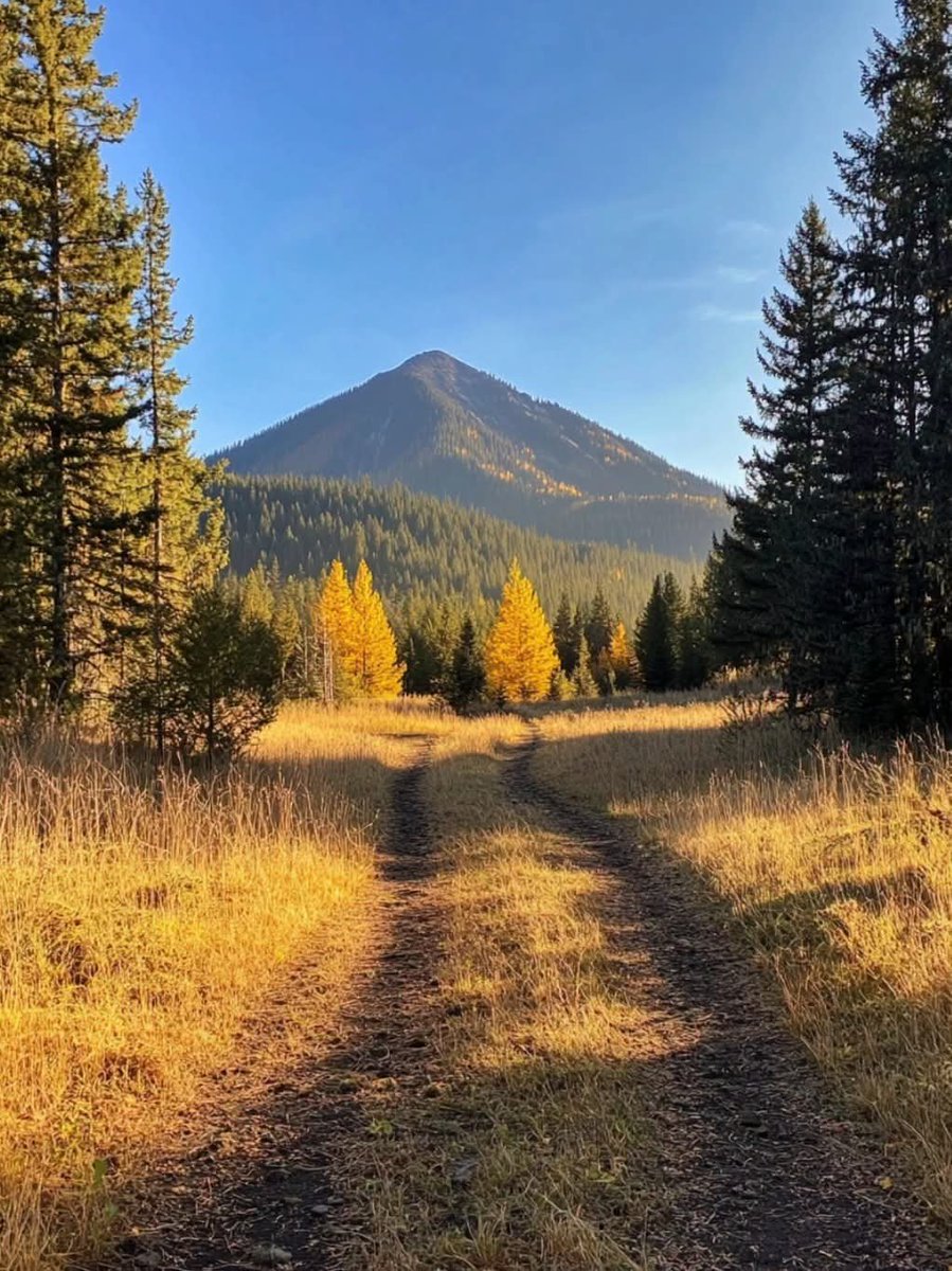 worldclick56's tweet photo. Crisp air, open trails, and mountain views 🍂 https://t.co/rubqpN8ynt