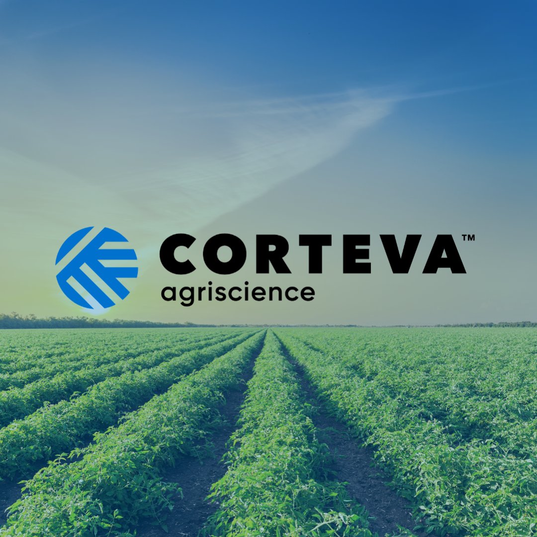 CortevaES's tweet photo. Empieza un nuevo capítulo: avanzamos como empresa líder mundial especializada exclusivamente en la protección de cultivos, para atender a nuestros clientes con mayor enfoque, y un compromiso renovado con la innovación y la excelencia operativa

¡Gracias por seguir acompañándonos! https://t.co/ktq08VNinF