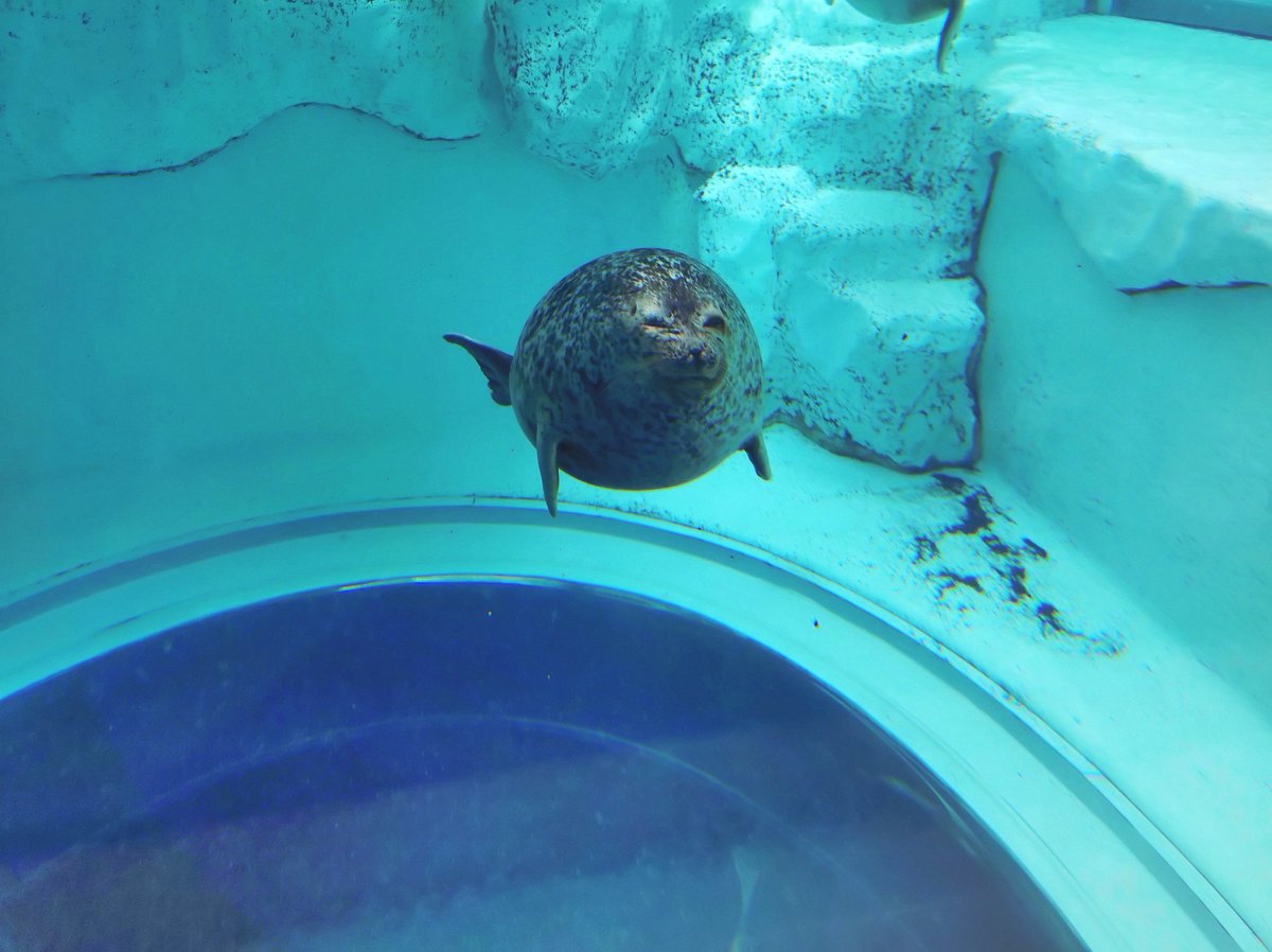 RajaDhakal3's tweet photo. 確かにいますよ…
横浜の実家から通っていた頃は乗り継ぎ乗り継ぎで片道2時間かけて通勤していたが、結婚を機に都内へ移り住み今では自転車で10分だという人…
（何故みんな会社の近くに移り住みたいのかわからないですが…） https://t.co/dE9deRBWw7