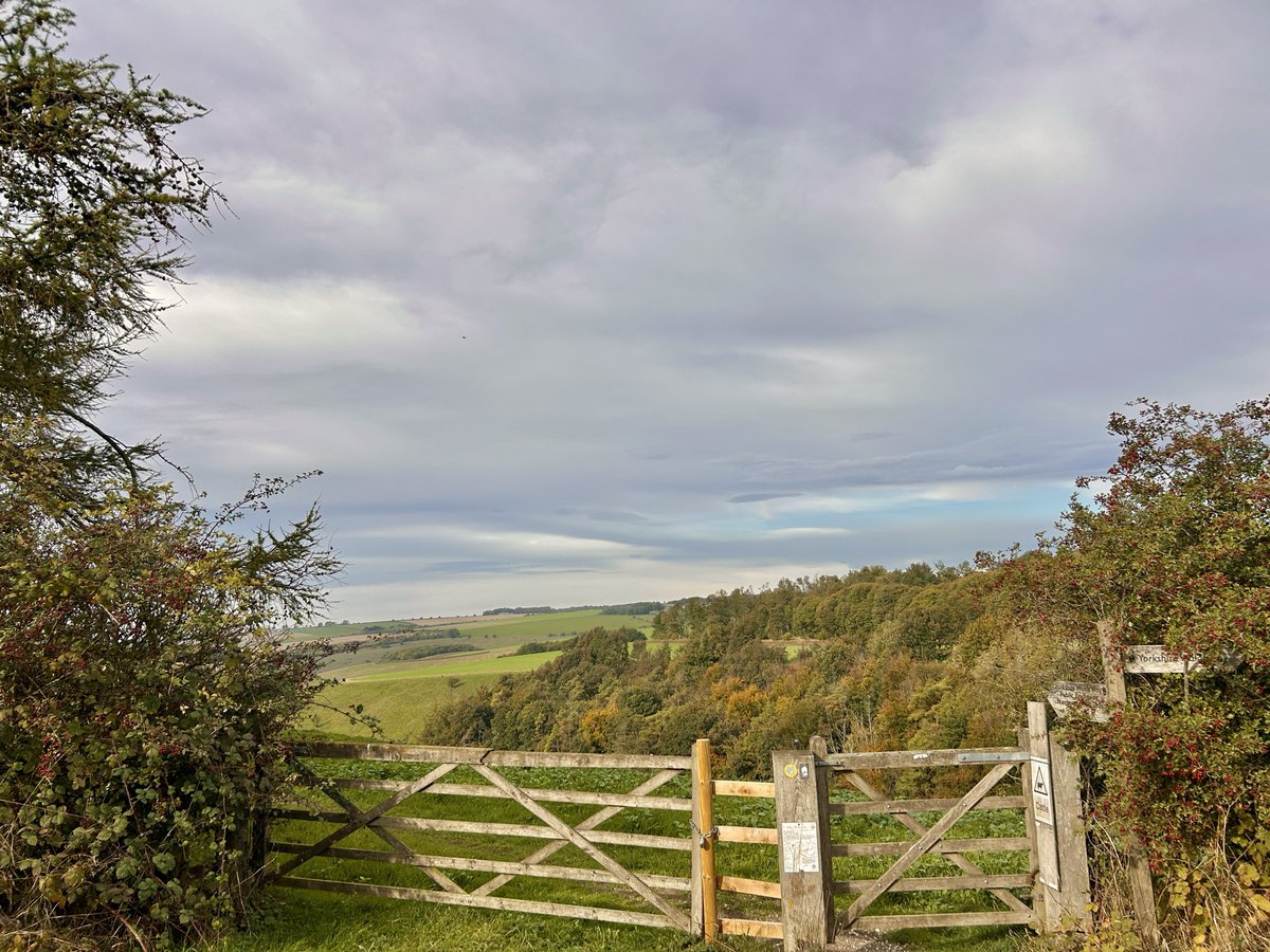 WeatherWolds's tweet photo. Over The Gate. 16°C and cloudy skies. Pheasants galore. https://t.co/EMttosMaBy