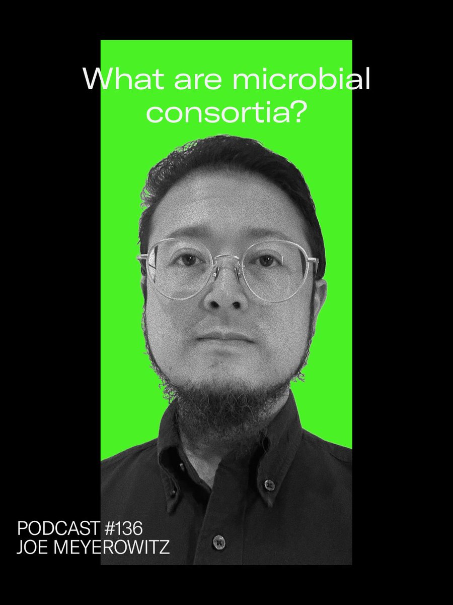 SPRIND's tweet photo. NEW on the SPRIND 🎧 #Podcast:
What are microbial consortia? And what is the SPRIND challenge Engineering Microbial Consortia all about? Our host speaks with: Joe Meyerowitz, serial entrepreneur and mastermind behind our new challenge.
Episode #136 of the SPRIND Podcast. https://t.co/7qKdY2jndi