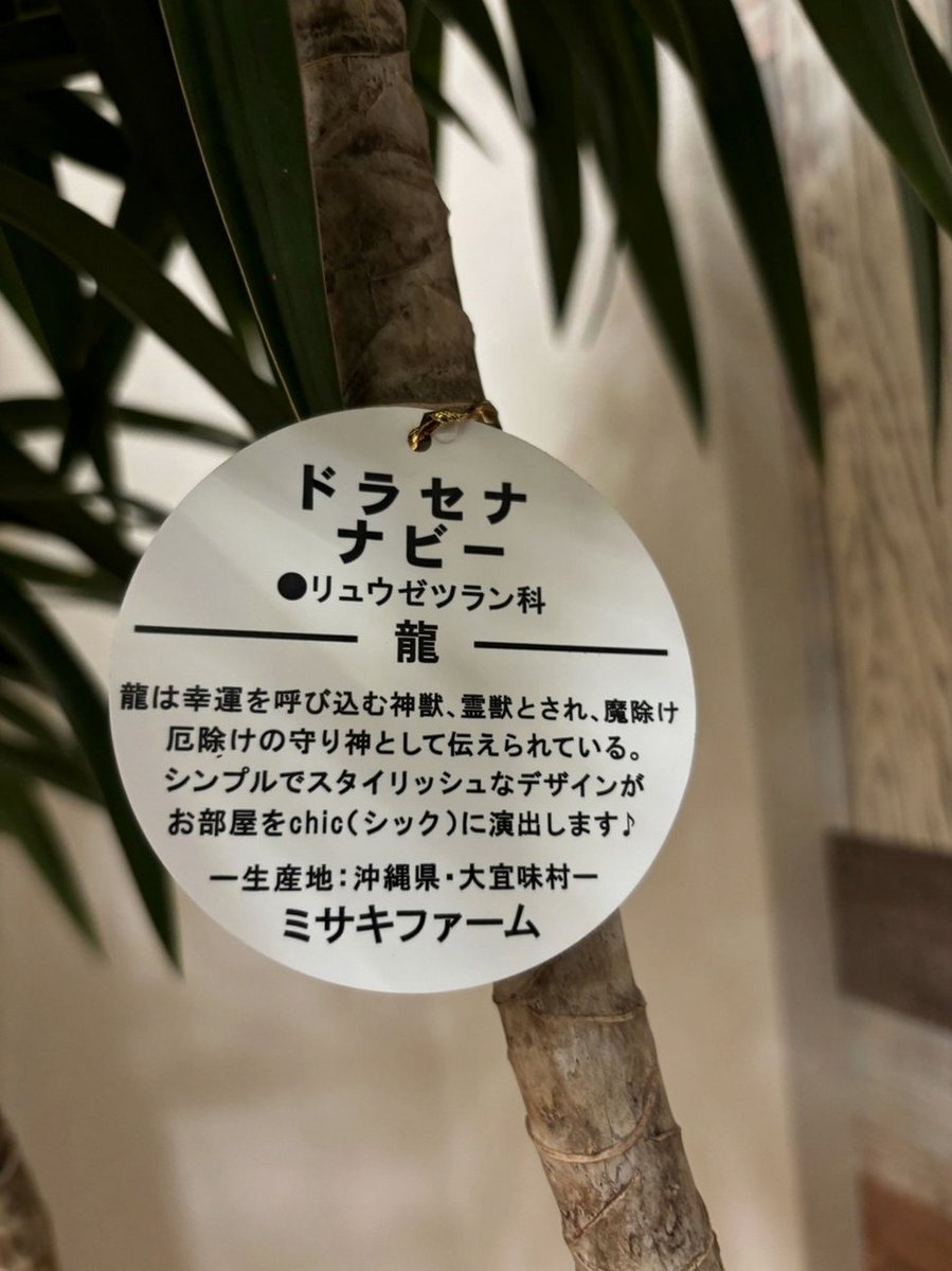 VBiosano's tweet photo. エビのしっぽは〜のとこ、姪(小3)と甥(小1&amp;年中)+私両親+私&amp;旦那とファミレス行った時に姪が大声で言ってたから叱ったけど、コレ言ってる人って小3以下？
あとエビのしっぽは普通に食べる。
何なら甘エビの刺身でもわりと食べる。 https://t.co/gGUl30suo7