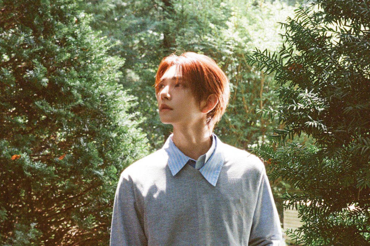 hjszones's tweet photo. joshua dreamscape between twelves photo sketch #조슈아 https://t.co/pC3mgboAu9