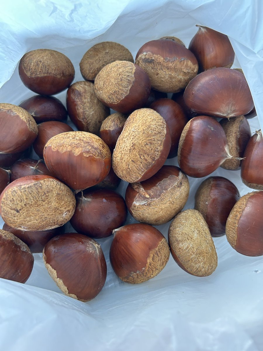 y11043367's tweet photo. うれしい😍今日は田舎から立派な栗が届きました🌰早速茹でて冷凍しときます。
父や母の田舎とまだ繋がっていて、何かとやりとりできるのはありがたいもんだなと思います🙏

今日は母の施設の方々と話し合いをしました。色々モヤモヤしていたことを思い切って話しました。話し合えて安心しました🥹 https://t.co/IbbUrZJDCP