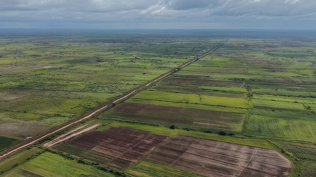 dhoorebbc's tweet photo. Beautiful scenery of farmlands and grazing cattle in #Jowhar, #Hirshabelle State, #Somalia. https://t.co/f3uuTkofr0