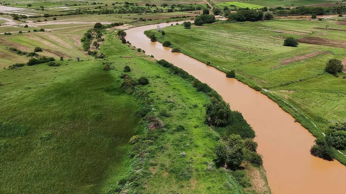 dhoorebbc's tweet photo. Beautiful scenery of farmlands and grazing cattle in #Jowhar, #Hirshabelle State, #Somalia. https://t.co/f3uuTkofr0
